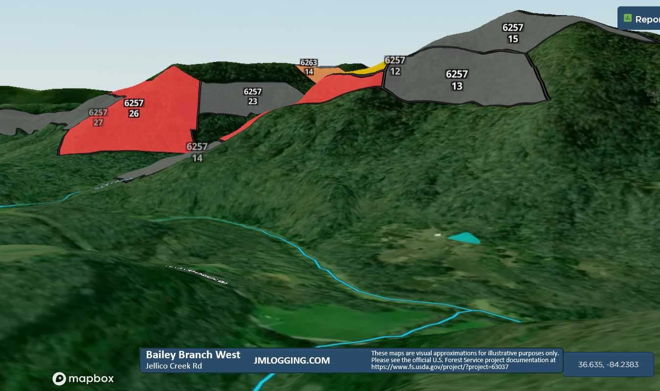 Bailey Branch Facing West 3D Maps Jellico Mountain Logging