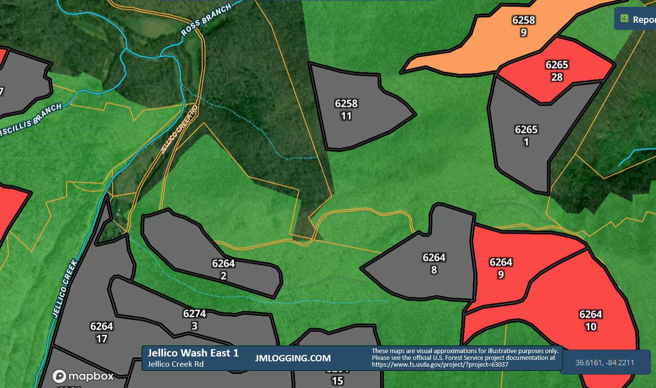 Jellico Wash East 1 3D Maps Jellico Mountains Logging