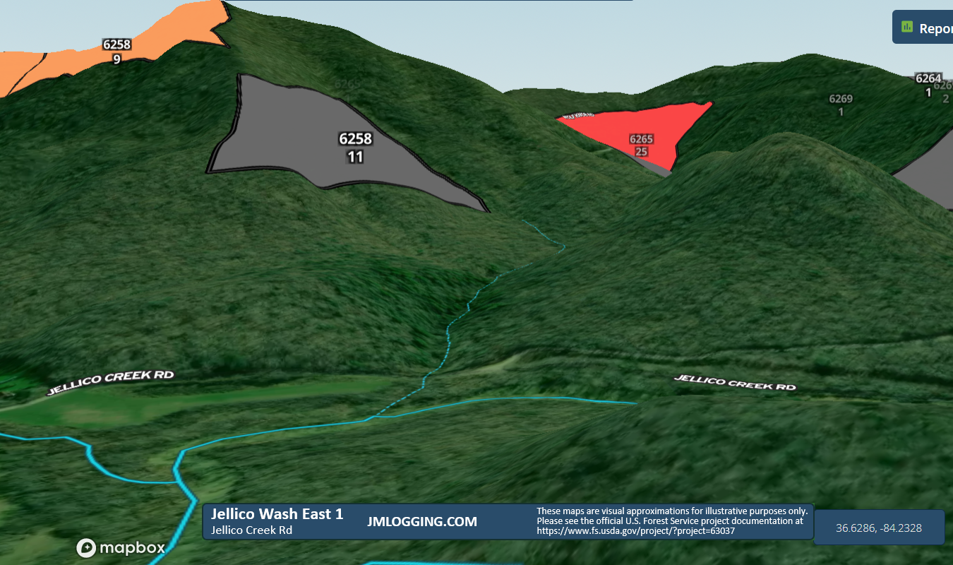 Jellico Wash East 1 3D Maps Jellico Mountain Logging