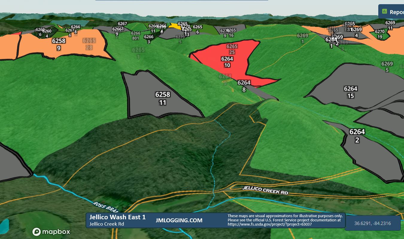 Jellico Wash East 1 3D Maps Jellico Mountains Logging