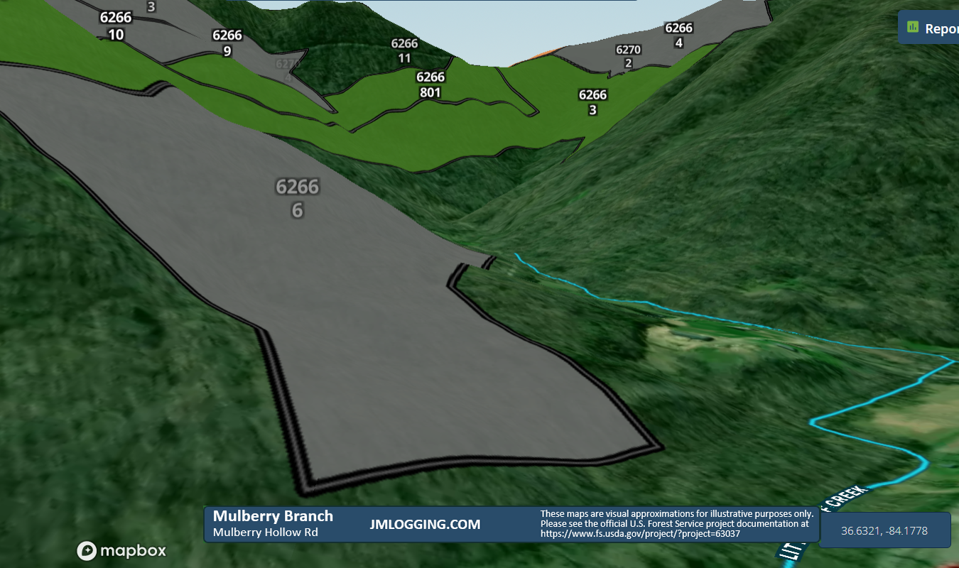 Mulberry Branch 3D Maps Jellico Mountains Logging